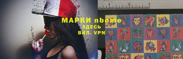 тгк Алексин