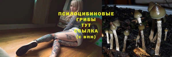 каннабис Алзамай