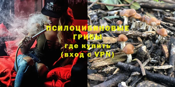 тгк Алексин