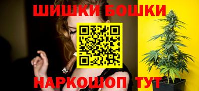 спиды Кингисепп