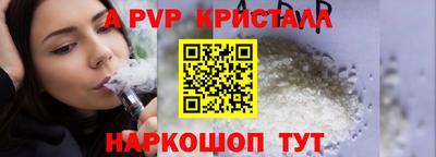 спиды Кингисепп