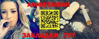 спиды Кингисепп