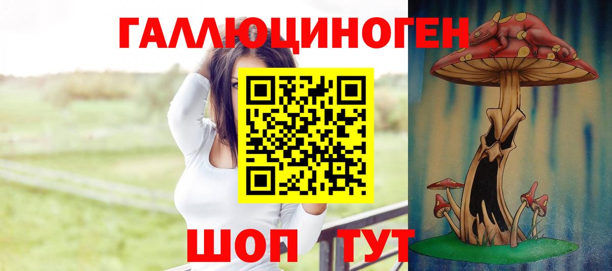 Кыштым  Псилоцибиновые грибы Psilocybine cubensis  Вход с VPN  Галлюциногенные грибы мицелий 